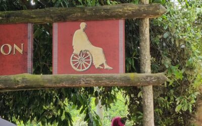Le Puy du Fou en fauteuil roulant : une expérience inoubliable